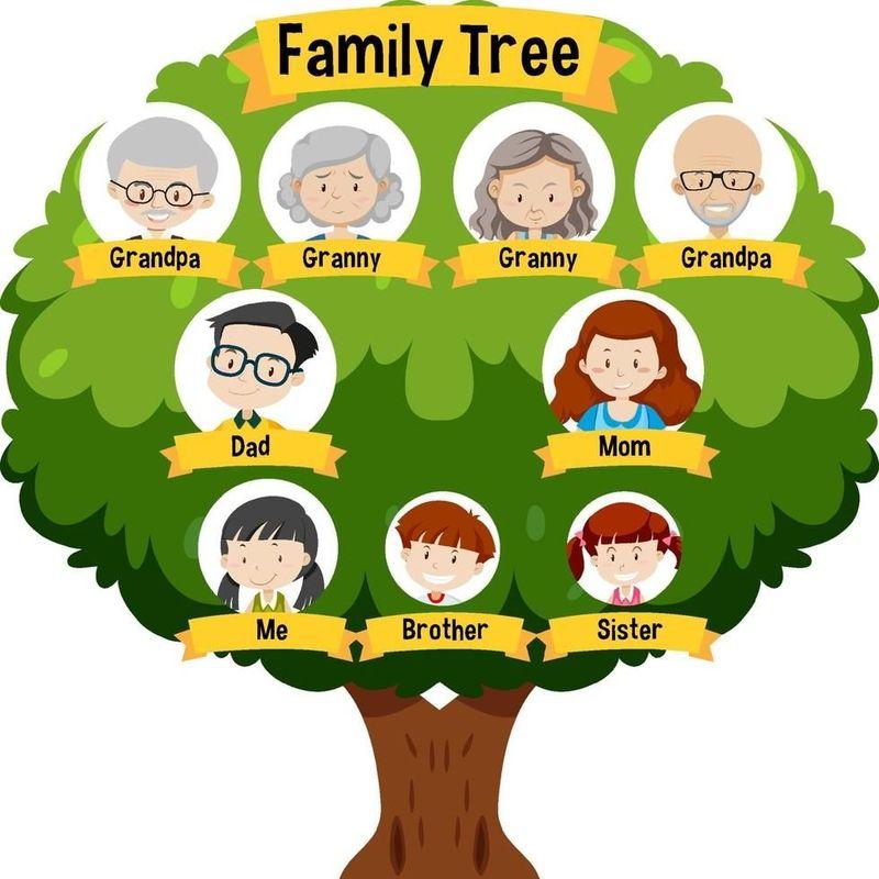 Cómo hacer el árbol genealógico de la familia 